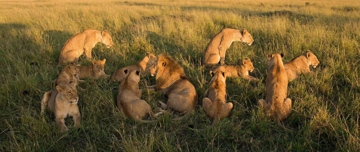 nano banana Photography prompts